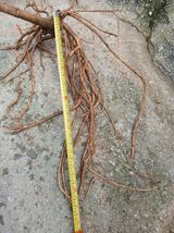 팜모닝 · 게시글 이미지