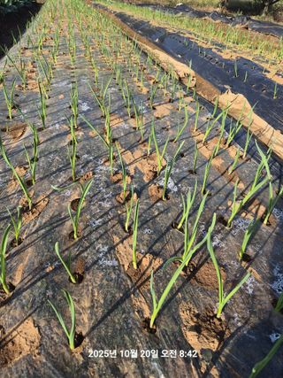 정택님의 자유주제 · 건의해요 작성글 사진