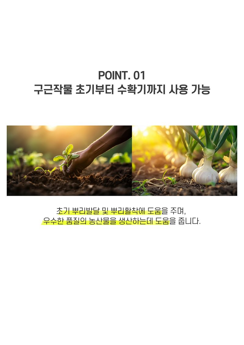 파머스케어님의 장터 판매 상품 [가든필리아 마늘양파비료1kg 텃밭 구근작물 마늘 양파 비료 밑거름 유황 마그네슘 규산 함유 마늘양파전용 복합비료] 첨부 사진