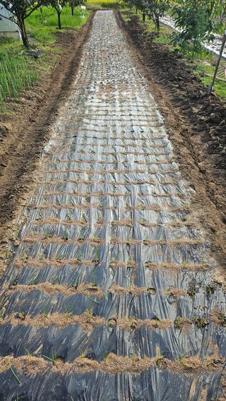 신현택님의 자유주제 · 자유게시판 작성글 사진