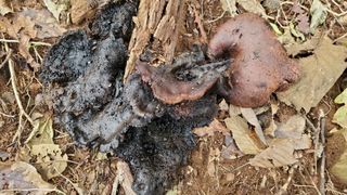 권혜전님의 자유주제 · 자유게시판 작성글 사진