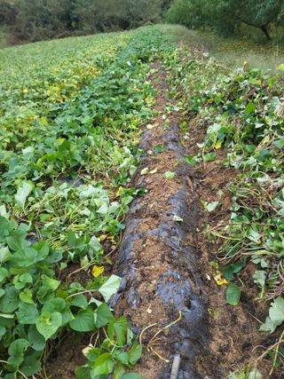 이용근님의 작성글 사진