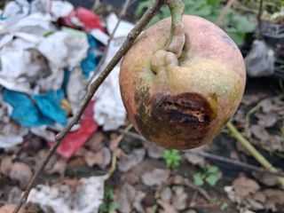 하얀박꽃님의 자유주제 · 자유게시판 작성글 사진