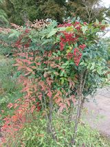 팜모닝 자유주제·자유게시판 게시글 이미지