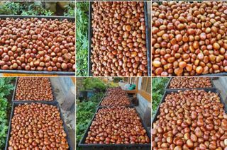 권혜전님의 자유주제 · 자유게시판 작성글 사진