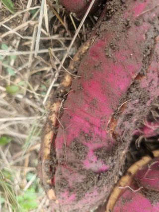 farmer님의 자유주제 · 자유게시판 작성글 사진