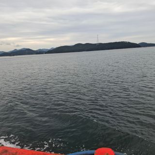 오영도님의 자유주제 · 자유게시판 작성글 사진