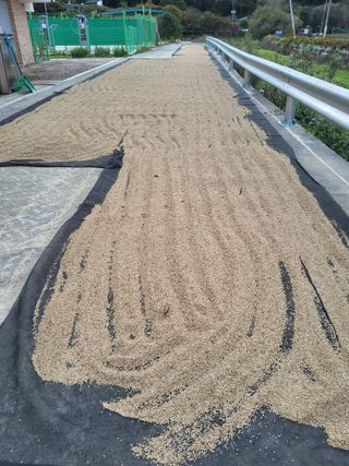 이연화님의 자유주제 · 자유게시판 작성글 사진