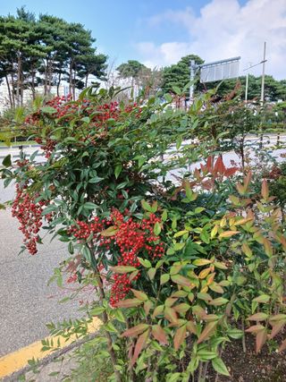 상원(尙沅)님의 자유주제 · 자유게시판 작성글 사진