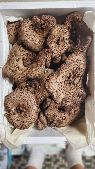 권혜전님의 자유주제 · 자유게시판 작성글 사진