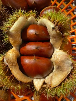 안길원님의 자유주제 · 자유게시판 작성글 사진