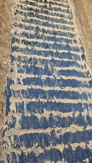 신현택님의 자유주제 · 자유게시판 작성글 사진