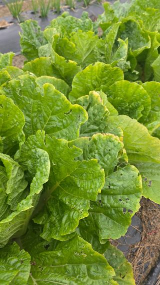 김정윤님의 자유주제 · 자유게시판 작성글 사진