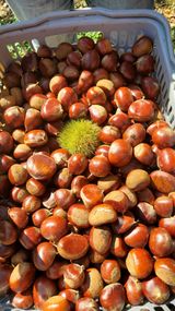 팜모닝 자유주제·자유게시판 게시글 이미지