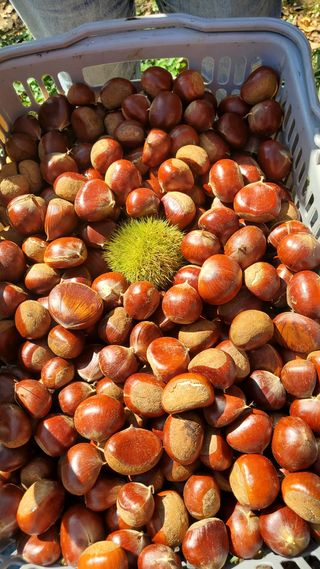 권혜전님의 자유주제 · 자유게시판 작성글 사진