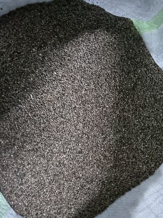 권병☆님의 자유주제 · 자유게시판 작성글 사진