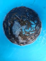 팜모닝 자유주제·자유게시판 게시글 이미지