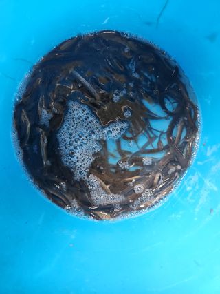 김재현님의 자유주제 · 자유게시판 작성글 사진