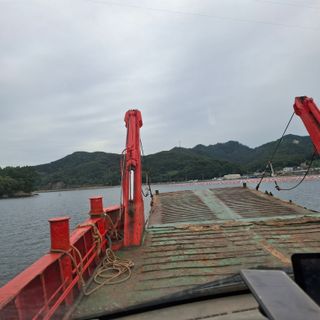 오영도님의 자유주제 · 자유게시판 작성글 사진