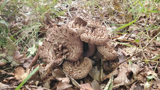 권혜전님의 자유주제 · 자유게시판 작성글 사진