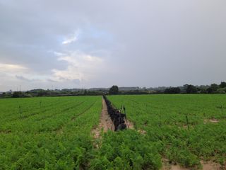 한경훈님의 자유주제 · 자유게시판 작성글 사진