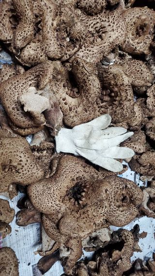 권혜전님의 자유주제 · 자유게시판 작성글 사진