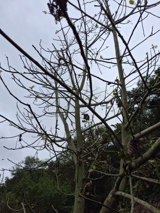 엄순모사선대농장님의 자유주제 · 자유게시판 작성글 사진