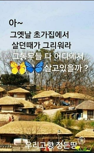 테리우스님의 자유주제 · 자유게시판 작성글 사진
