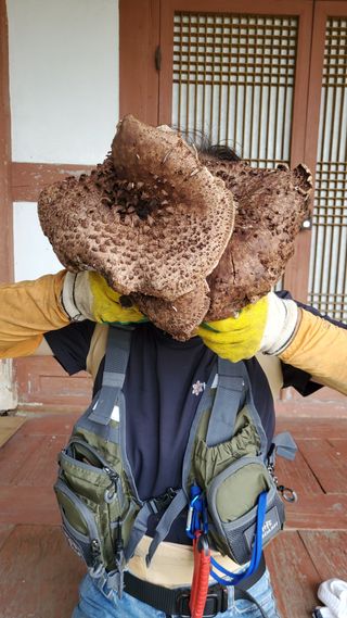 권혜전님의 자유주제 · 자유게시판 작성글 사진