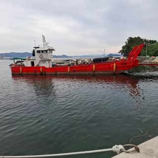 오영도님의 자유주제 · 자유게시판 작성글 사진