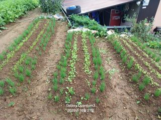 전진규.해돋이님의 자유주제 · 자유게시판 작성글 사진