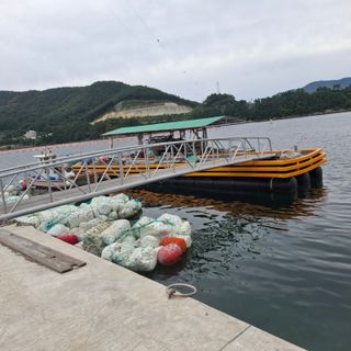 오영도님의 자유주제 · 자유게시판 작성글 사진