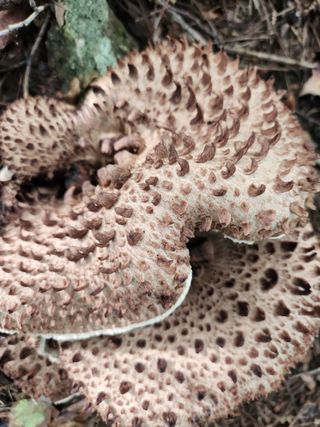 권혜전님의 자유주제 · 자유게시판 작성글 사진