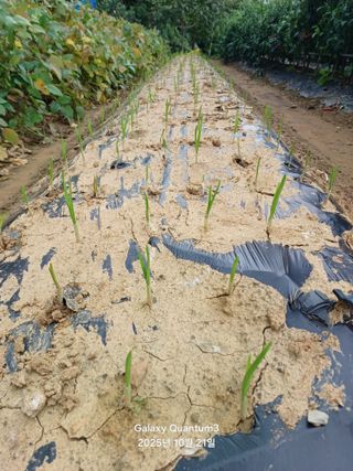 전진규.해돋이님의 자유주제 · 자유게시판 작성글 사진