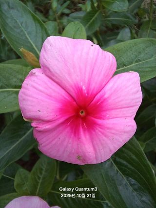 전진규.해돋이님의 자유주제 · 자유게시판 작성글 사진