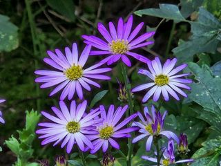 안길원님의 자유주제 · 자유게시판 작성글 사진