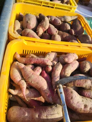 이용근님의 작성글 사진