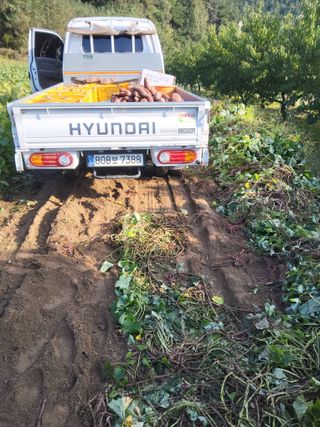 이용근님의 작성글 사진