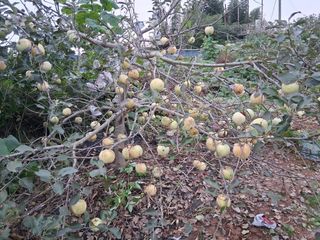 하얀박꽃님의 자유주제 · 자유게시판 작성글 사진