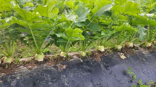 신현택님의 자유주제 · 자유게시판 작성글 사진