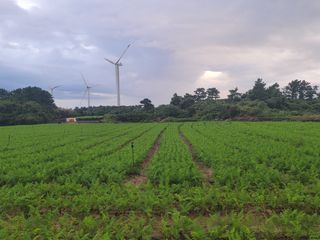 한경훈님의 자유주제 · 자유게시판 작성글 사진