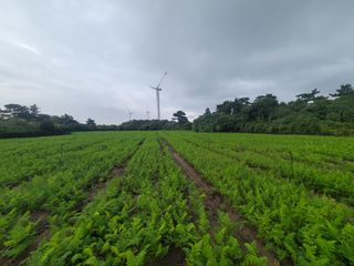 한경훈님의 자유주제 · 자유게시판 작성글 사진