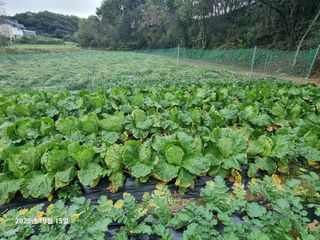 권병☆님의 자유주제 · 자유게시판 작성글 사진