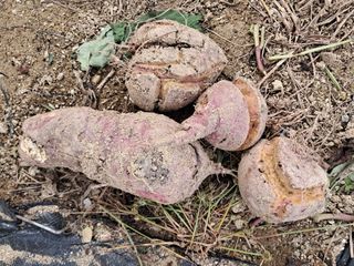 전희분님의 자유주제 · 자유게시판 작성글 사진