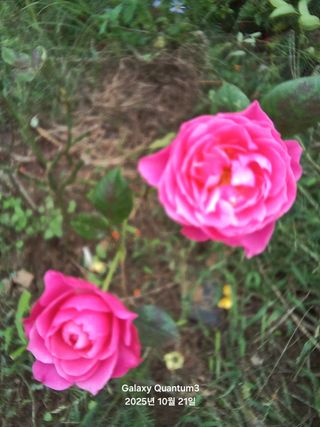 전진규.해돋이님의 자유주제 · 자유게시판 작성글 사진