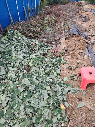 전희분님의 자유주제 · 자유게시판 작성글 사진