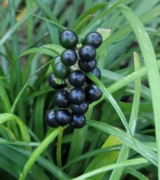 안길원님의 자유주제 · 자유게시판 작성글 사진