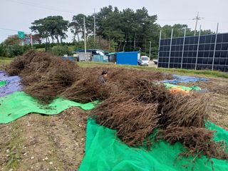 홍순오님의 자유주제 · 자유게시판 작성글 사진