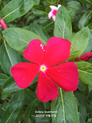 전진규.해돋이님의 자유주제 · 자유게시판 작성글 사진