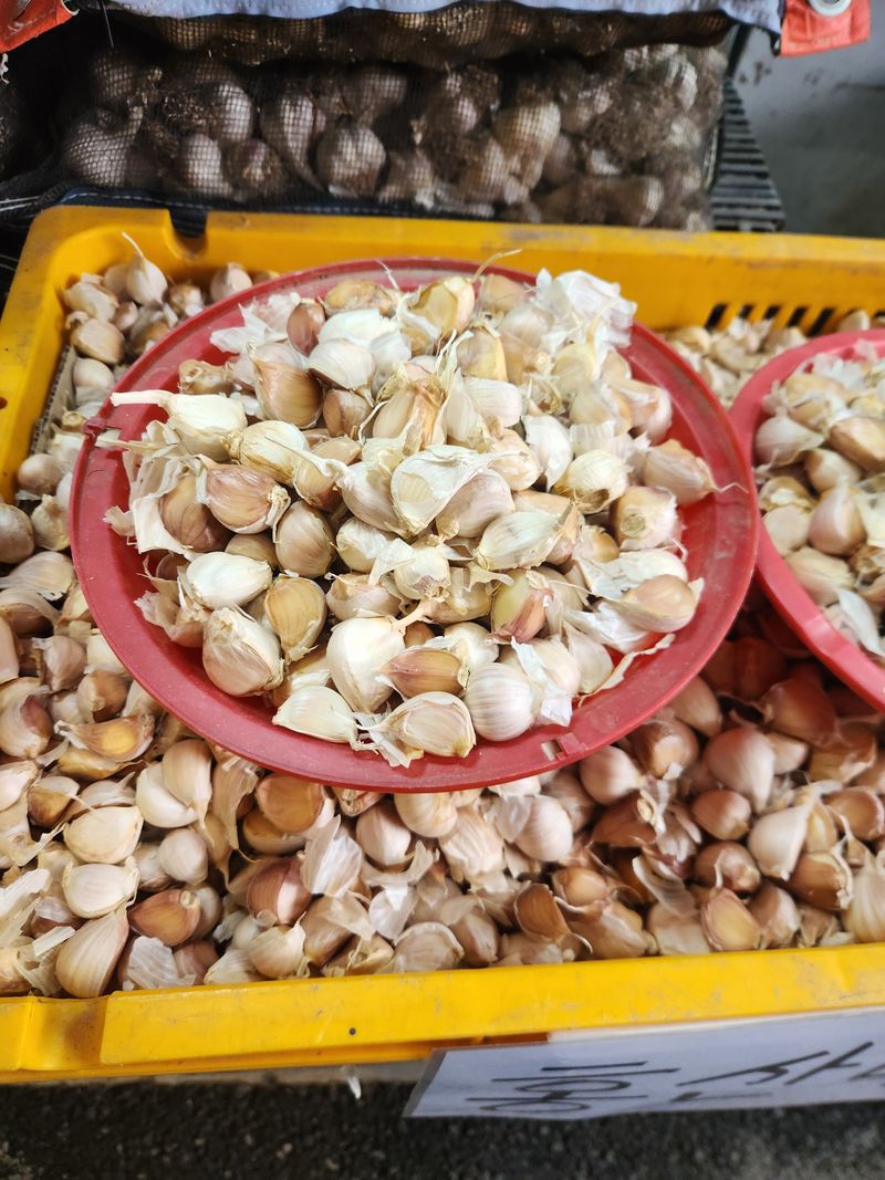 돼지파쪽파님의 장터 판매 상품 [홍산씨마늘 ] 첨부 사진